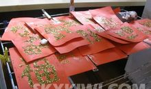 春节之包饺子篇_900字