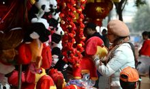 热闹的春节_450字