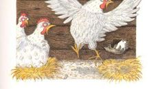 我发现了偷蛋贼的秘密_700字