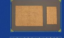 学校门口的发现_300字