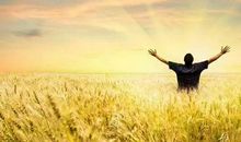 朝着梦想奋力飞翔_1200字