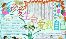 关于生存的作文：珍爱生命，学会生存_900字