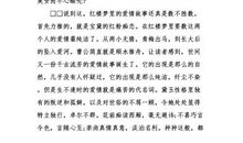 那个中午_1500字