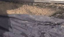 那一刻的等待_350字