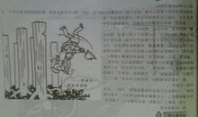 关于生存的作文：学会生存——读《鲁滨逊漂流记》有感_800字