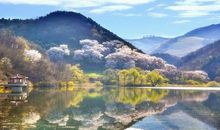 会唱歌的雨_450字