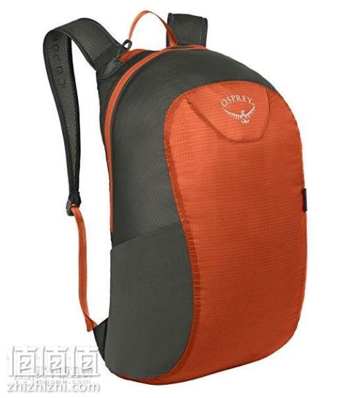 SILIES Book BAG _550字