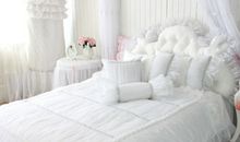 美丽的梦想_50字