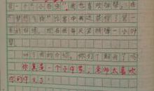 女生眼中的男生_400字