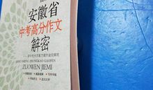 中考话题作文写作技巧_1500字