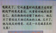 《最后一头战象》读后感_650字