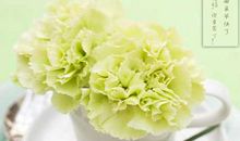 激烈的球赛_650字