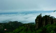 炎黄子孙的脊梁柱_1500字