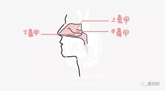 我的演讲_900字
