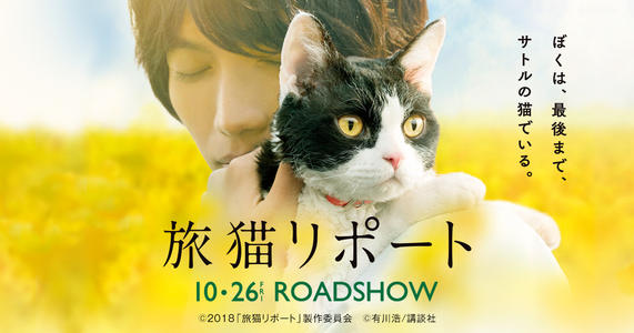 在阅读“笑猫”之后的感觉_1200字