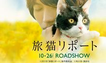 读《笑猫》后的感受_1200字