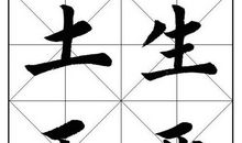 母亲的伤令我绞心_750字