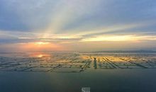 美丽的阳澄湖_350字