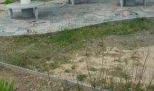 校园的蘑菇亭_650字