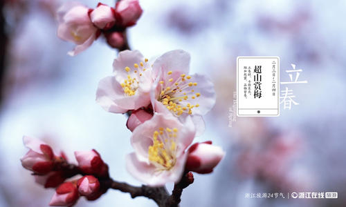 去年，吉山路，毛毛雨李子走了。