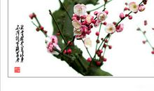 冰雪林中著此身，不同桃李混芳尘；