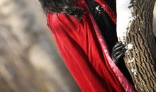 竹外一枝斜，想佳人，天寒日暮。