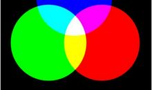 最真的色彩_600字