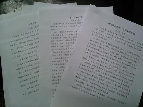 [梦想文章]我有一个梦想_900字