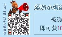 我的暑期工_450字