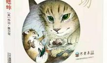 飞 ——读《羽毛男孩》有感_900字