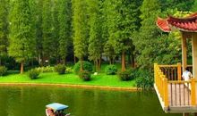 我爱广州—东湖公园_400字