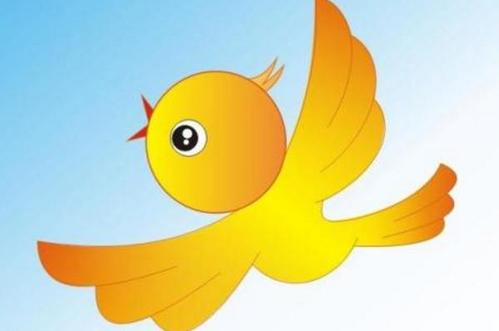 “鸟”照片_400字