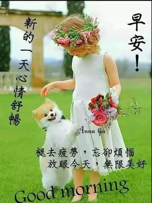 早上问候