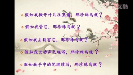 我的珍珠鸟_550字