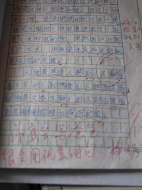 单位成分：我的小伴侣_450字