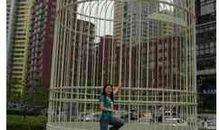 欢乐大鸟笼_400字