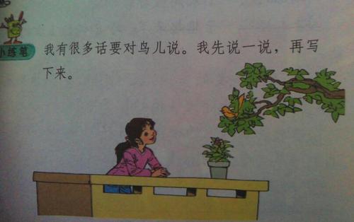 鸟，我想对你说_450字