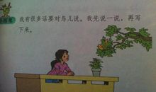 鸟儿，我想对你说_450字