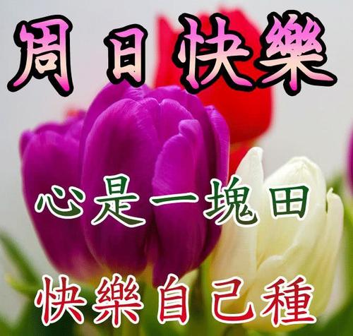 秋天的周末问候短信