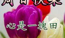 秋季周末问候短信