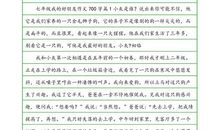 单元作文：好朋友_800字