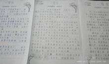 关于书的作文：我的读书生活_600字