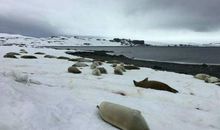 北京游随笔----长城篇_1500字