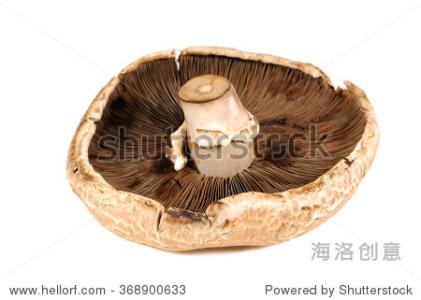  未经许可，不得转载