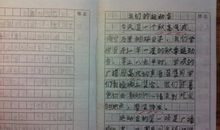 关于运动会的作文200字：运动会的结局怎么会那么残_550字