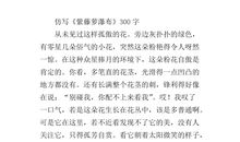 《紫藤萝瀑布》读后感_750字