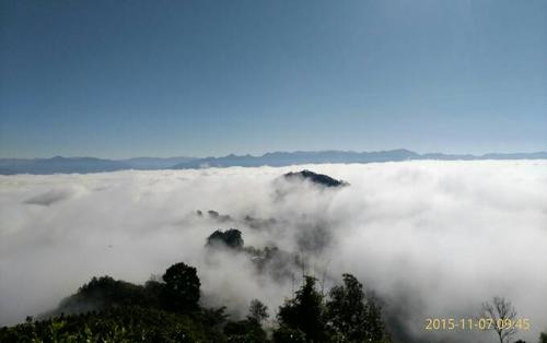 雾慢慢丢失，颜色变成白色白色，就像透明的身体流动。东方是白色的。如果没有，浮灯纱布覆盖这个城市，高楼和树木。说出来，你看不到整个建筑和树木;说出来，雾是开放的，建筑和树木的轮廓微弱，而且雾是富有的，就像一个海洋建筑。