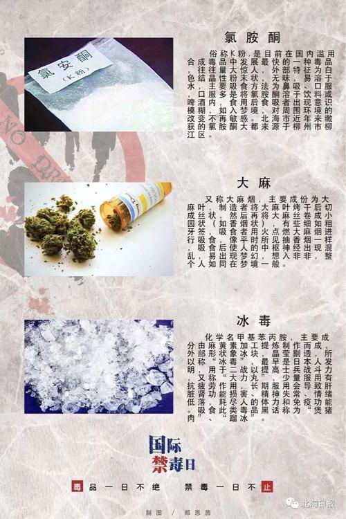 与抗药纯土地一起工作一_1200字