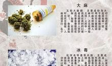 携手禁毒 净土一方_1200字