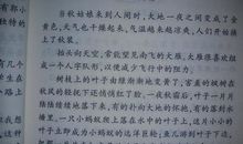 【微作文】承诺的美_150字